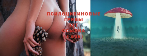 не бодяженный Аркадак